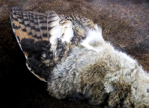 Long Eared Owl Wing & Rabbit Fur Smudge Wand