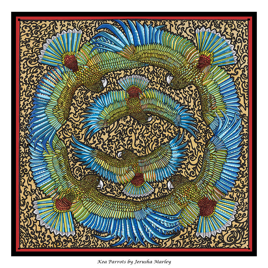 Kea Parrots Poster Print