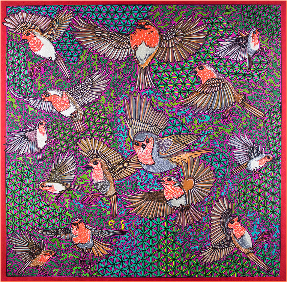 Robin Magic Greeting Card