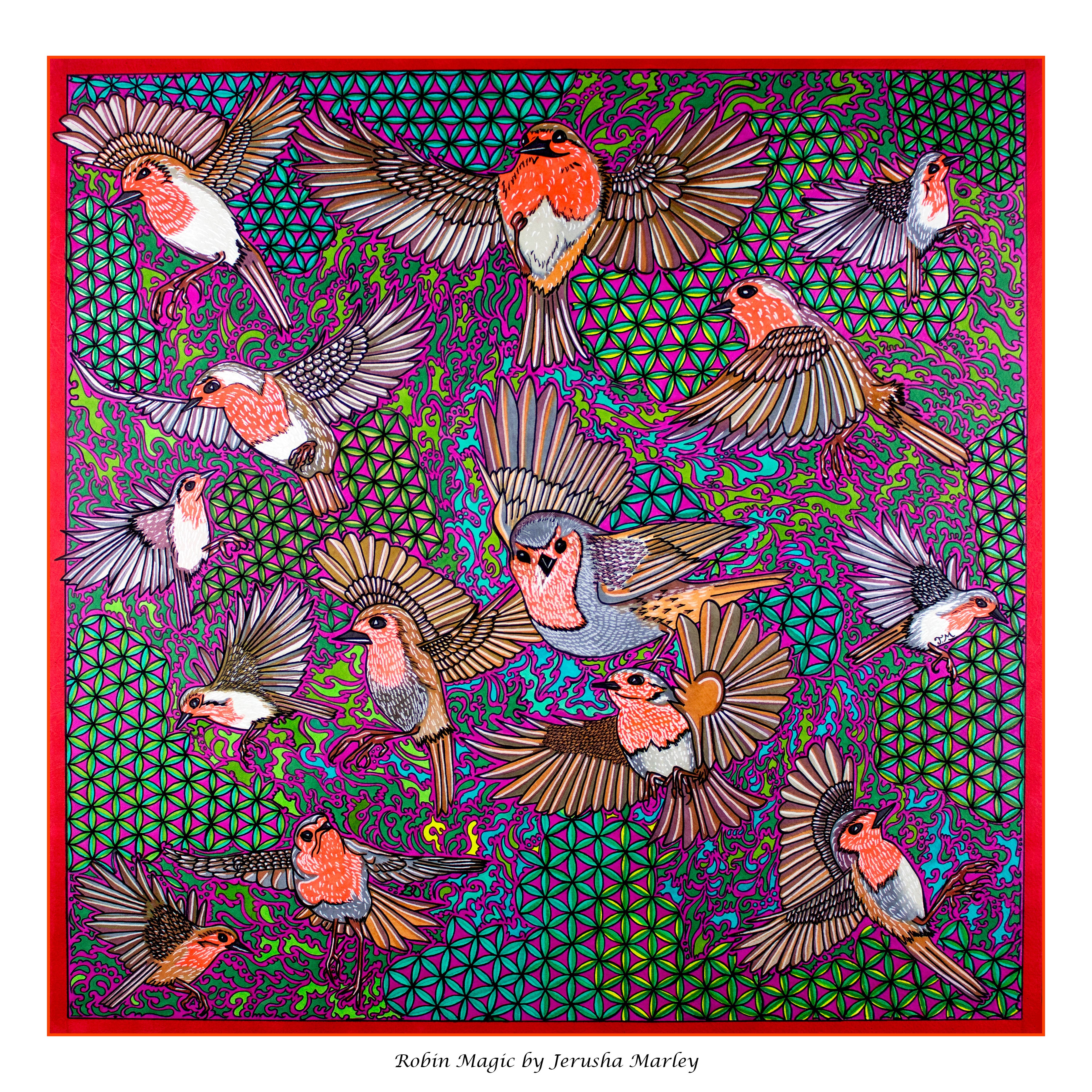 Robin Magic Poster Print
