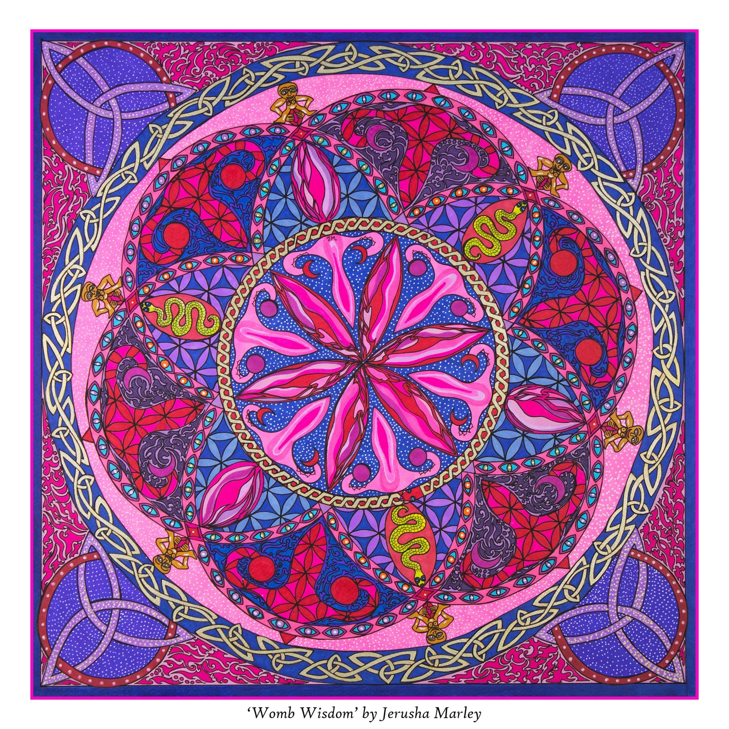 Womb Wisdom Poster Print