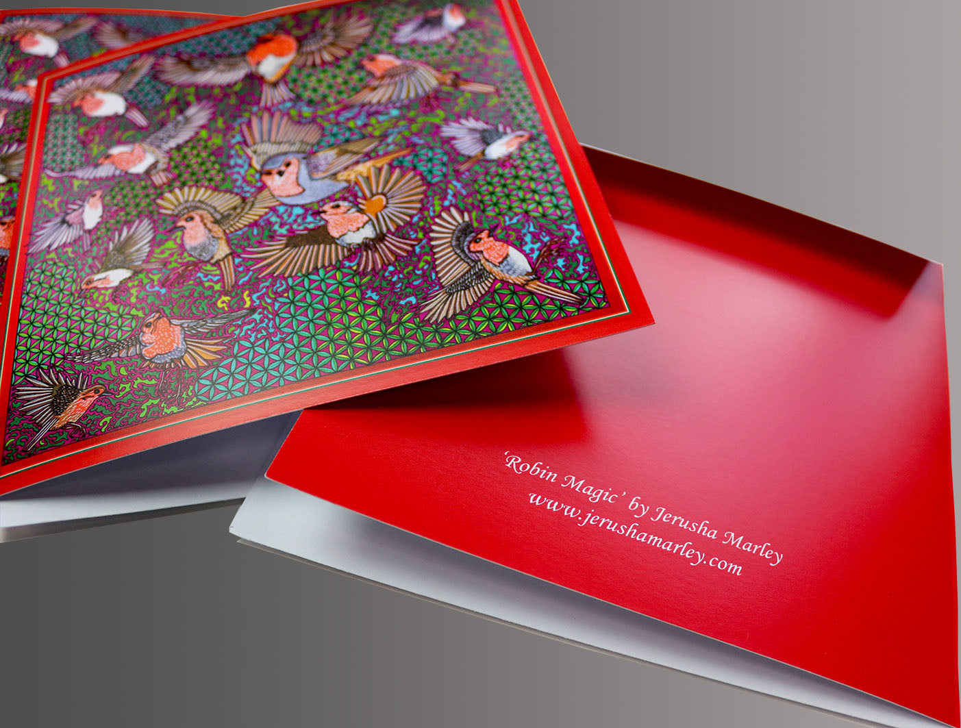 Robin Magic Greeting Card